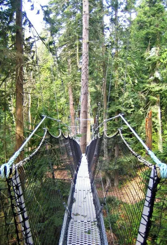 Take an exciting walk in the trees with your family at UBC's Greenheart Canopy Walkway, at UBC Botanical Garden. (via thetravellingmom.ca)