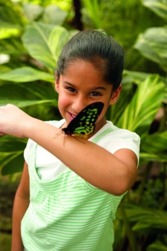 girl with butterfly at niagara falls butterfly conservatory