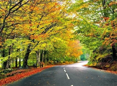 16 colorful leaf peeping destinations around the world