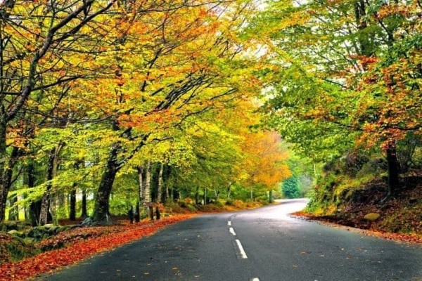 16 colorful leaf peeping destinations around the world