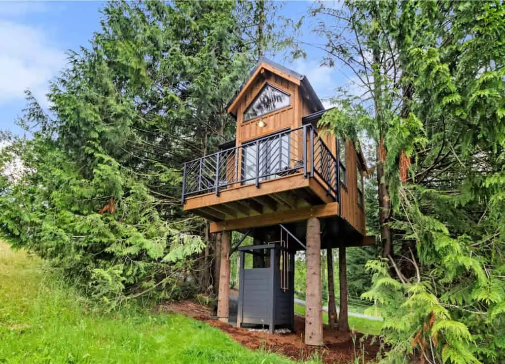 small treehouse in forest in chilliwack airbnb in vancouver