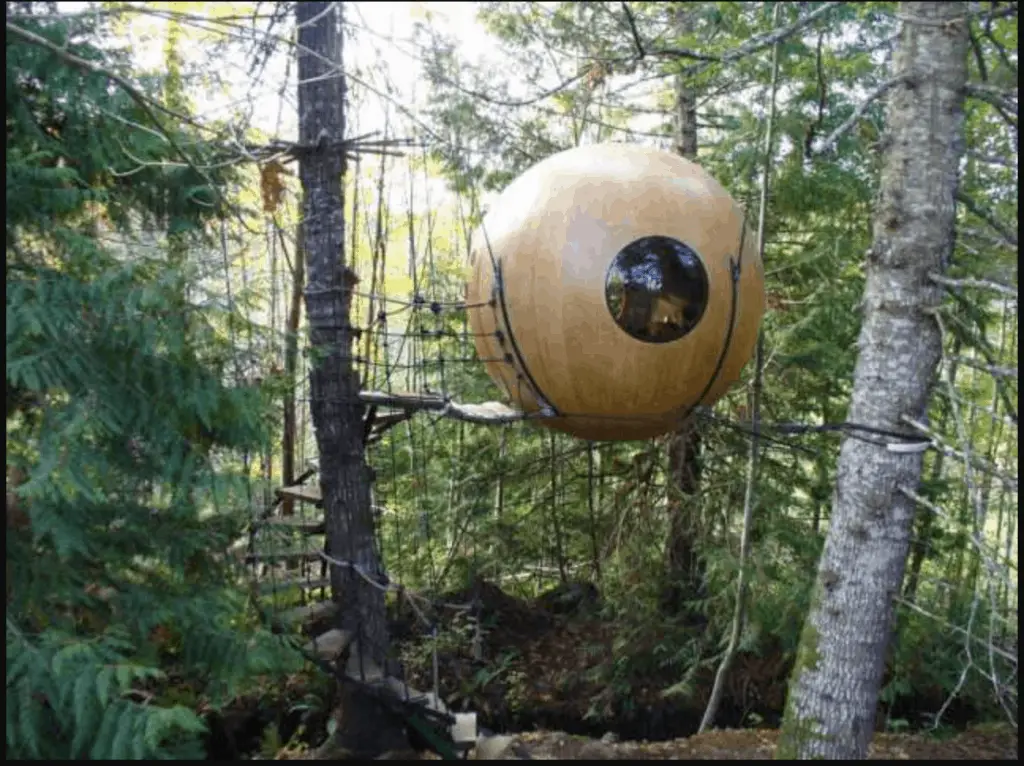 round sphere suspended in pine forest vancouver island