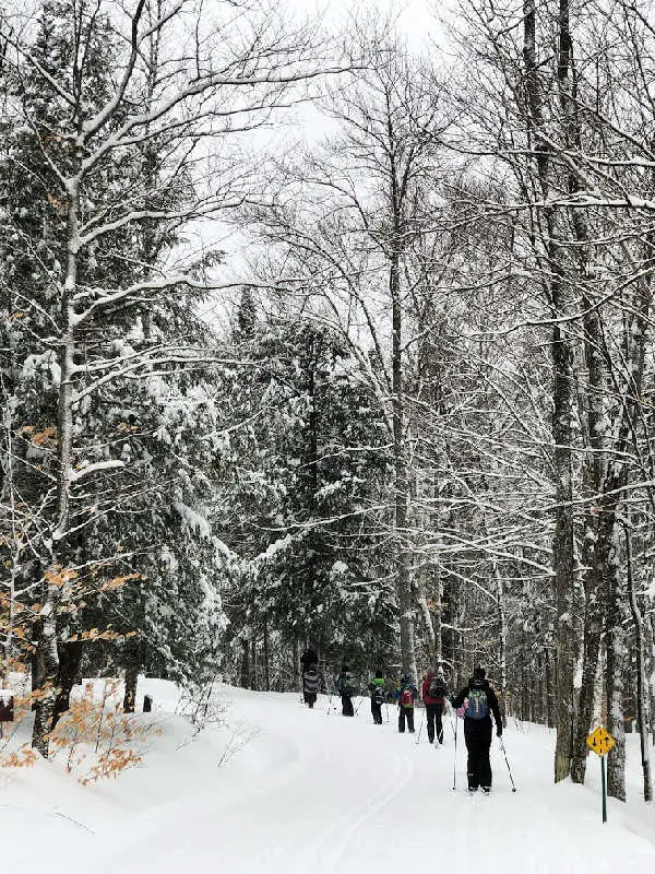 cross country skiers in quebec in winter