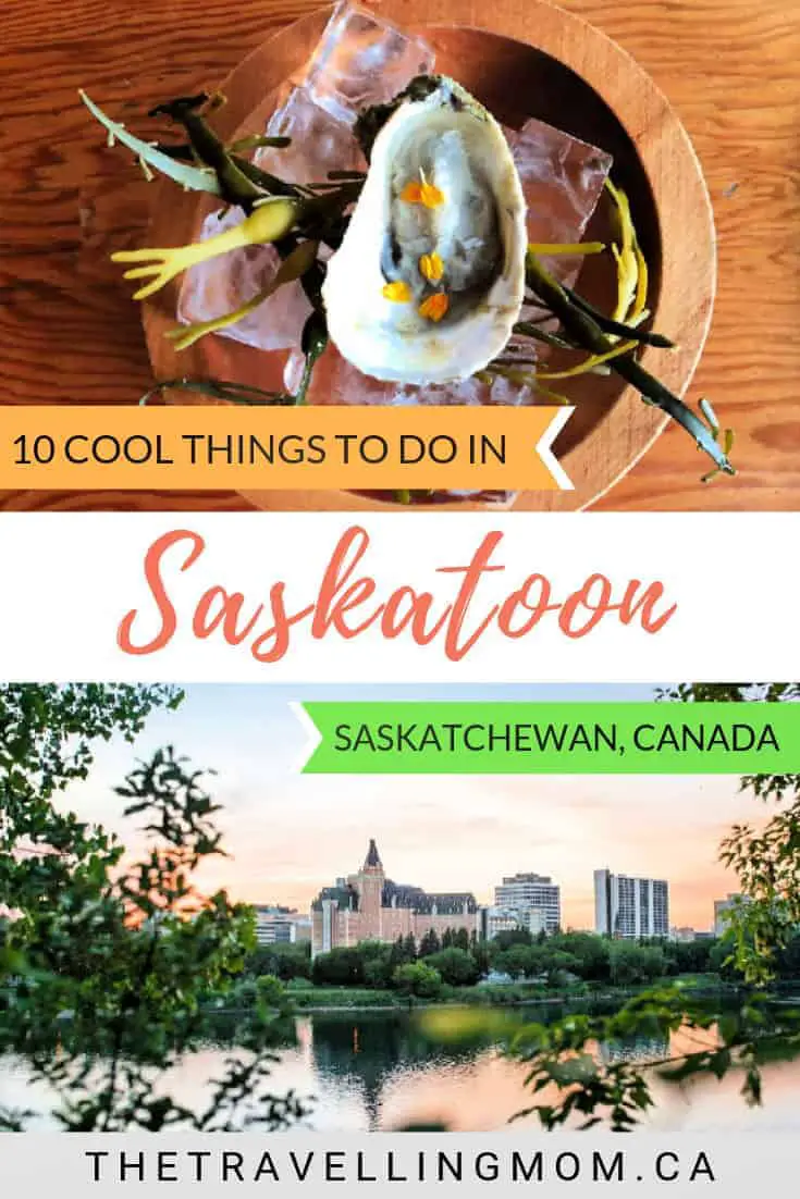things to do in saskatoon