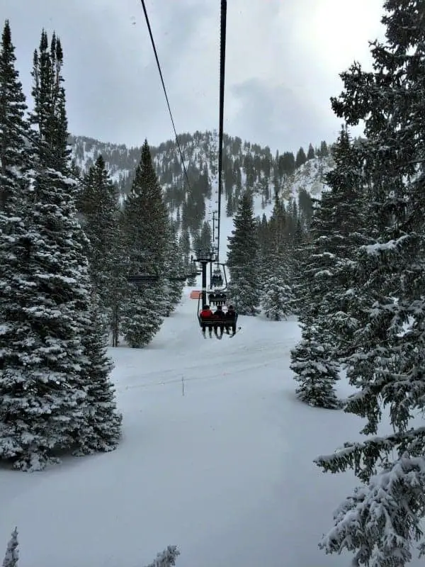 Skiers looking for incredible snow quality and family-friendly skiing will find powder nirvana at Alta Ski Area, Utah. Six reasons why you should ski Alta.