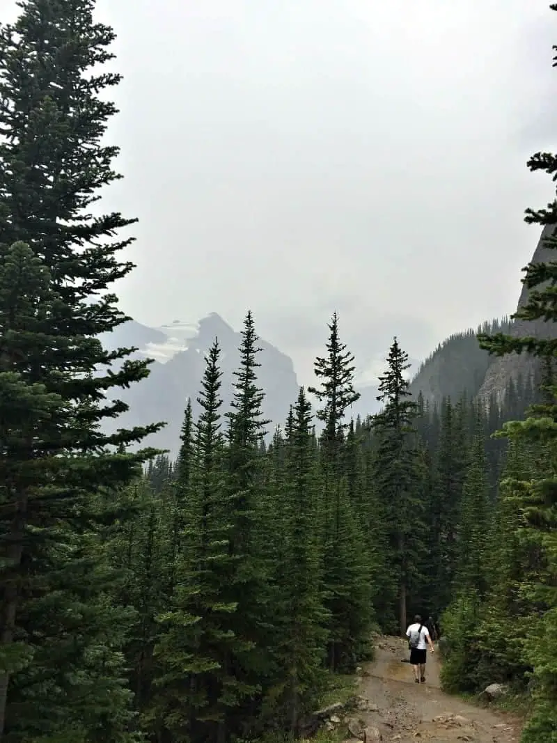 man walking down mountain on Banff Teahouse hike