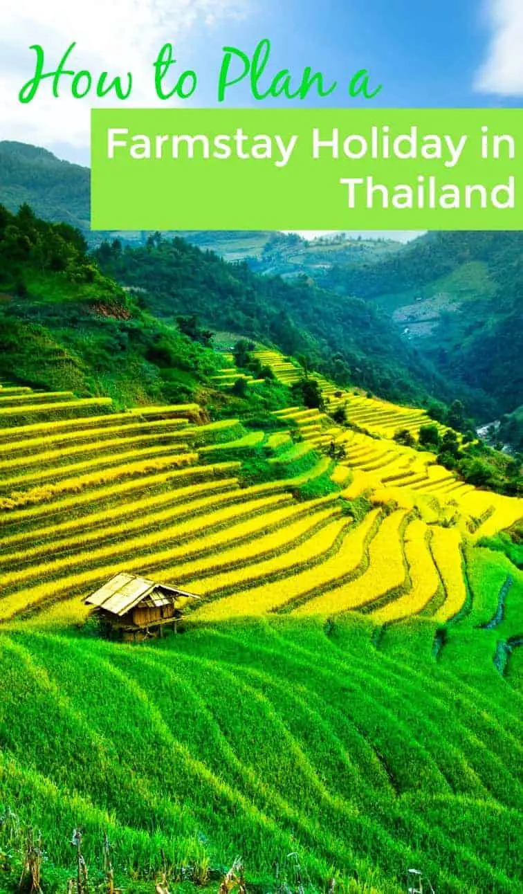 Looking to do Thailand a little differently? How to book a farmstead family holiday in Thailand.