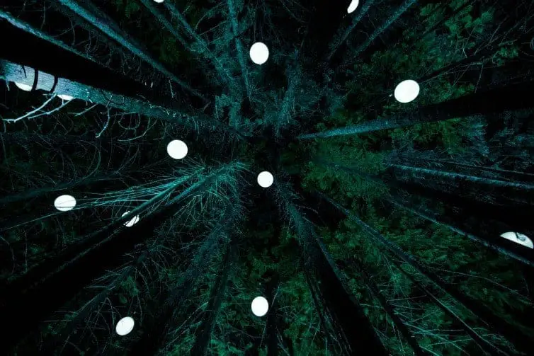 globe lights in trees in whistler