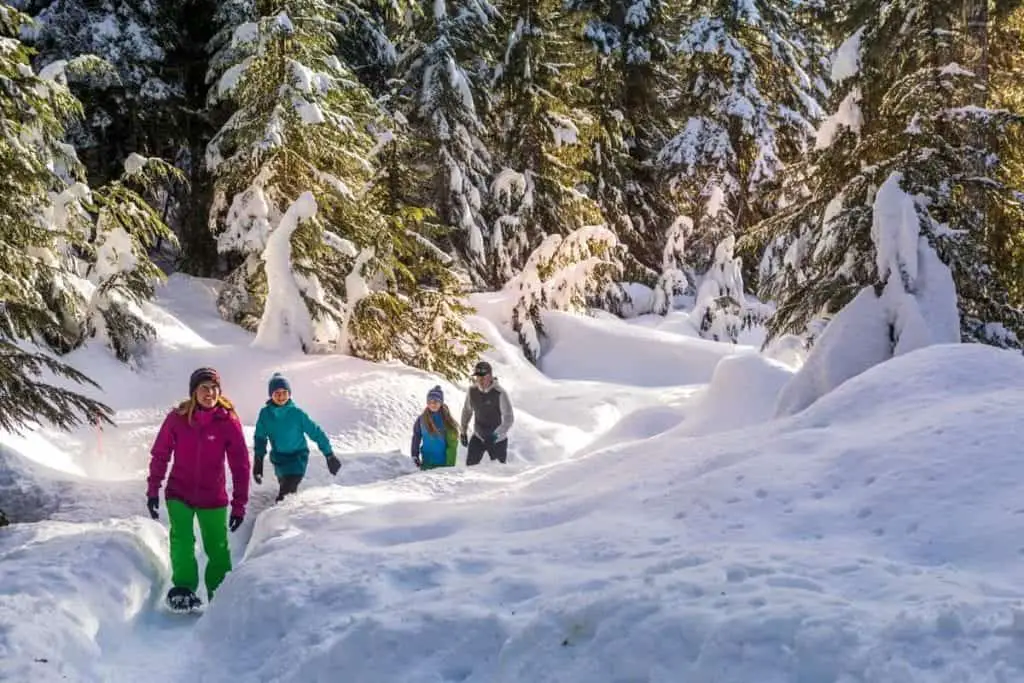 snowshoeing in whistler in winter