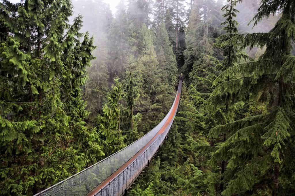 day trips from vancouver