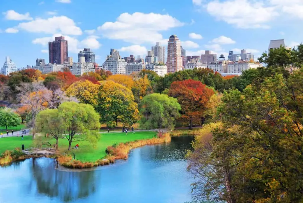 view of central park in fall