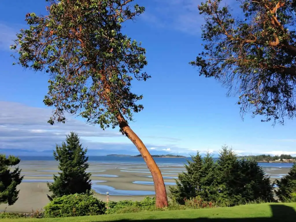 things to do in parksville with kids