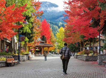 7 adventurous things to do in Whistler during fall