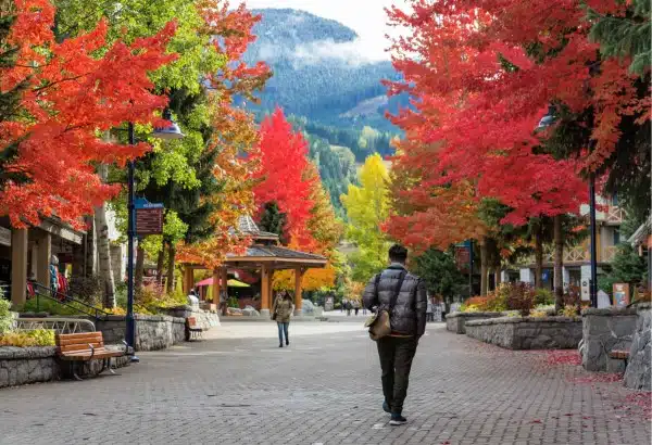 7 adventurous things to do in Whistler during fall