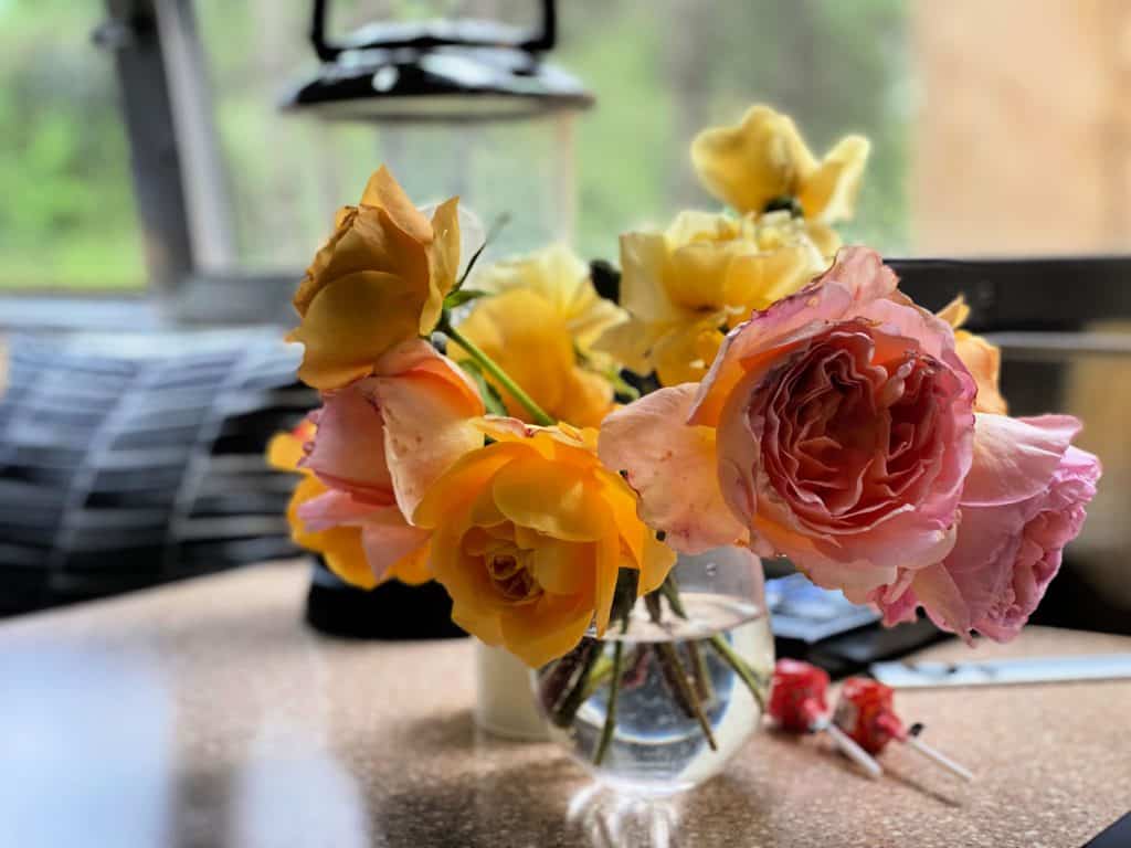 fresh cut summer flowers in vase