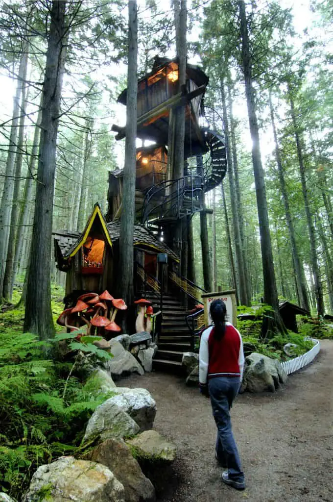 treehouse at enchanted forest in revelstoke in summer