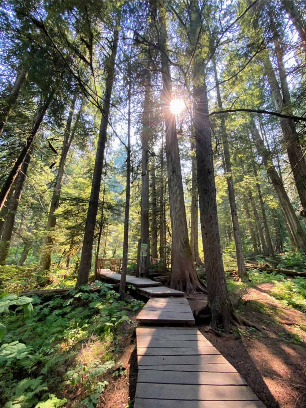 11 Active Things to do in Revelstoke B.C. - Claudia Travels