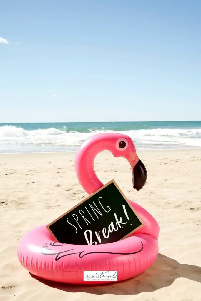 pink flamingo on beach spring break