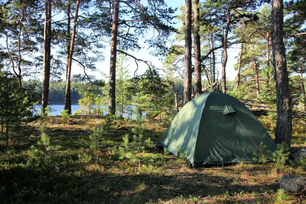 green tent in forest in summer