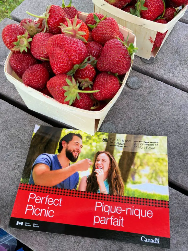 red strawberries parks canada perfect picnic