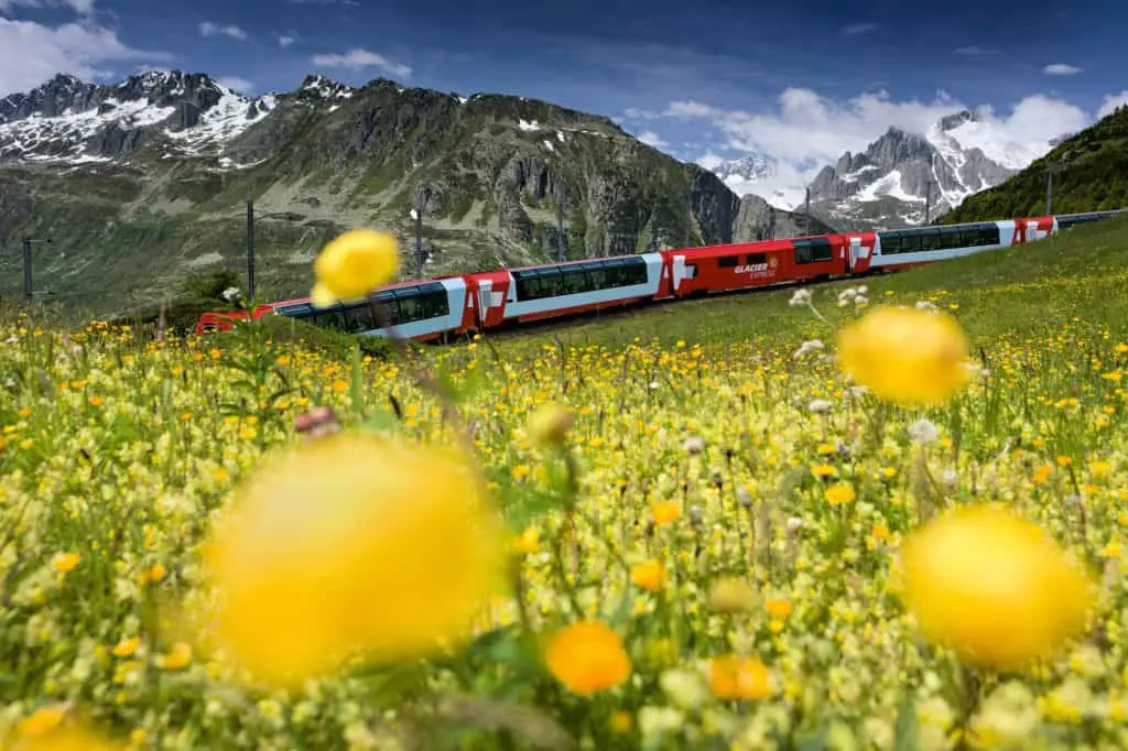 red swiss train in field of yellow wildflowers