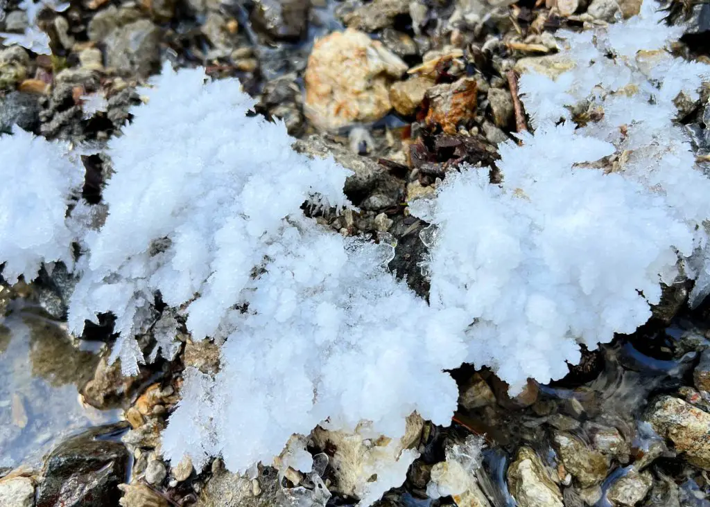 frost flowers form on kushiro river
