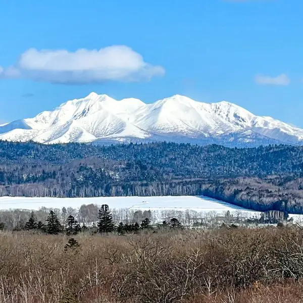 11 unconventional things to do in Hokkaido in winter