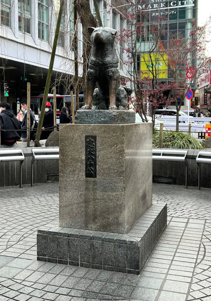 hachiko statue in shibuya crossing