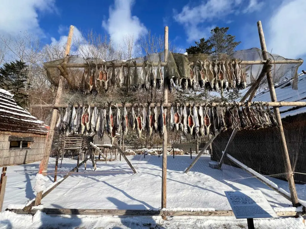 salmon drying outdoors in traditional ainu way