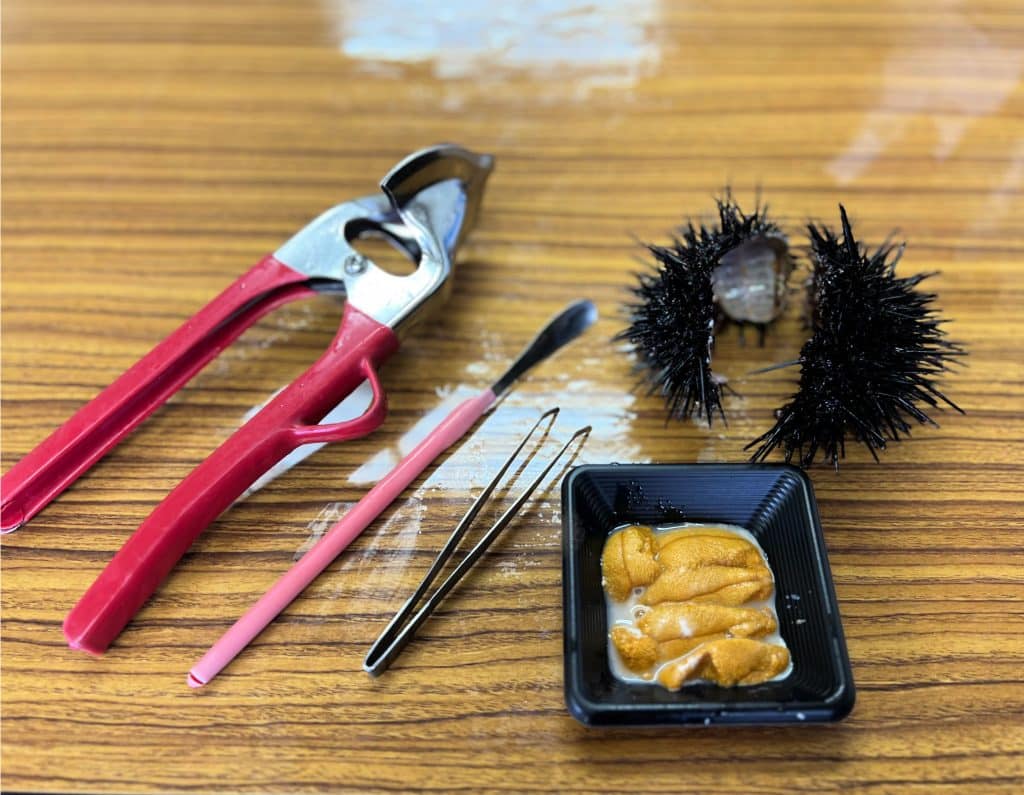 sea urchin tools and uni