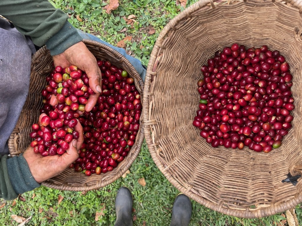Come with me to Colombia this October! We'll learn to salsa, enjoy food and public art tours, and take time to relax and recharge in one of the most exciting countries in South America.