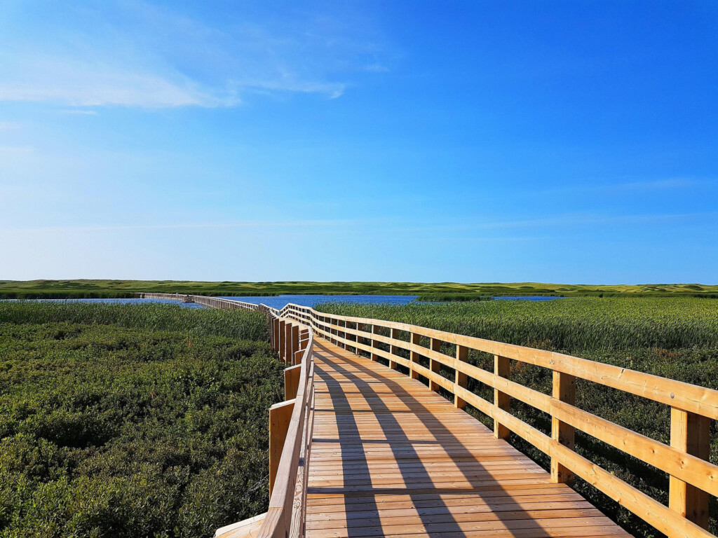 Discover Prince Edward Island on foot with Senior Discovery Tours. Explore the Island Walk's scenic coastline, charming villages and easy daily stages on this active cultural adventure.
