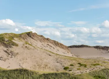 Discover Prince Edward Island on foot with Senior Discovery Tours. Explore the Island Walk's scenic coastline, charming villages and easy daily stages on this active cultural adventure.